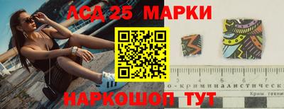 шишки Кимры