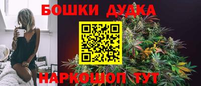 шишки Кимры