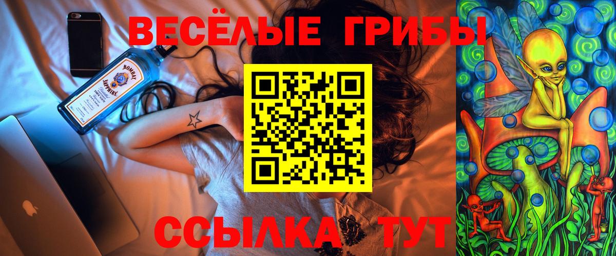 Ленинск-Кузнецкий  Псилоцибиновые грибы Psilocybine cubensis  Вход с VPN 