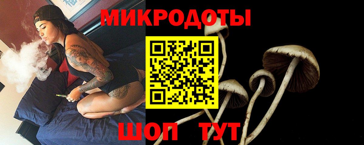 Псилоцибиновые грибы ЛСД Ленинск-Кузнецкий